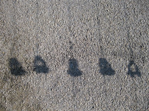 This is the shadow of a fence on gravel/cement.