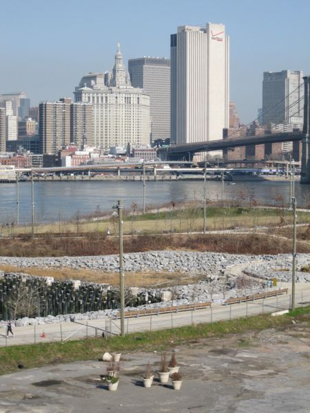 We Brooklynites like texture in our landscaping.