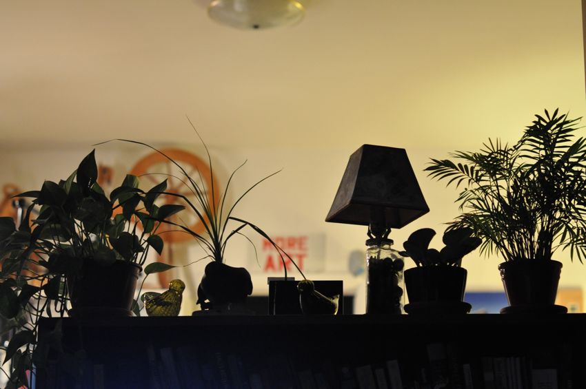 studio Melanie Testa